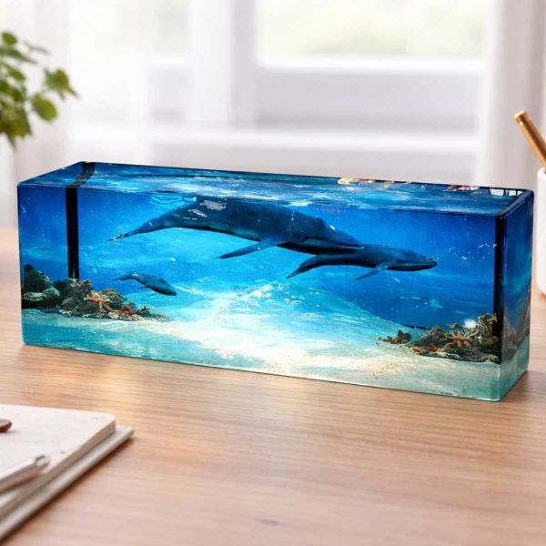 Molde de Silicone Eternização Retângulo XXG